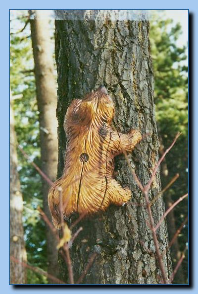 2-41 bears attached to tree-archive